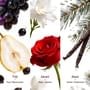 O.TWO.O - Marble Fruit Bouquet Perfume - 3 Flavours