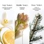 O.TWO.O - Wonderland Garden Parfum - 4 Flavours 2pcs Bundle Set