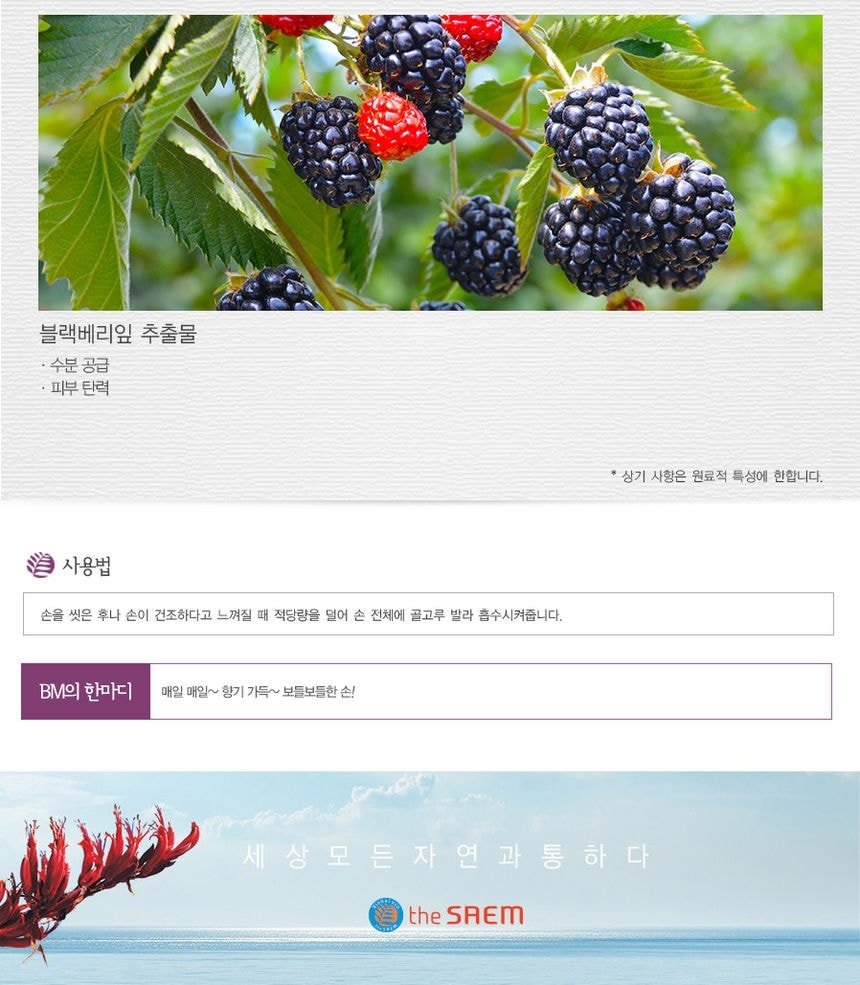 The Saem - Perfumed Hand Moisturizer (Black Berry) 30ml