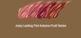 romand - Juicy Lasting Tint Autumn Fruit Series - 4 Colors