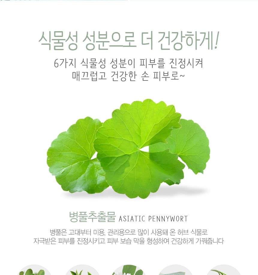 MediFlower - The Secret Garden of Five Hand Cream Set (5 pcs)