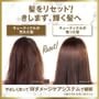 Lux Japan - Luminique Hair Shampoo & Treatment Sachet Set