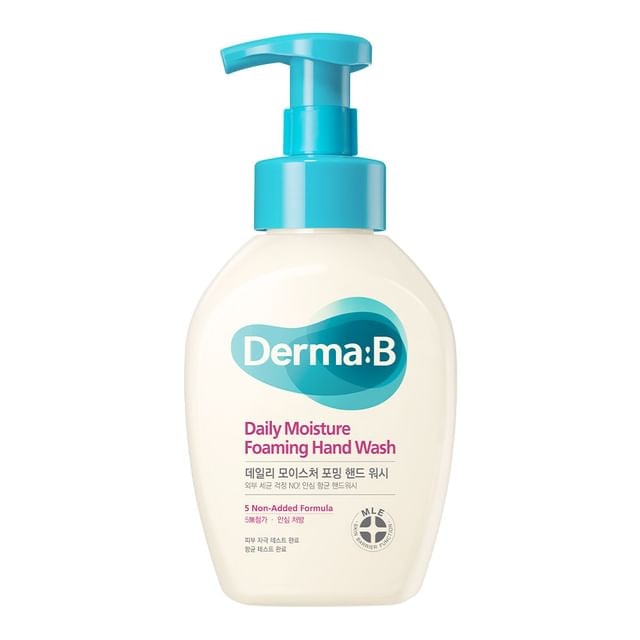 Derma: B - Daily Moisture Foaming Hand Wash