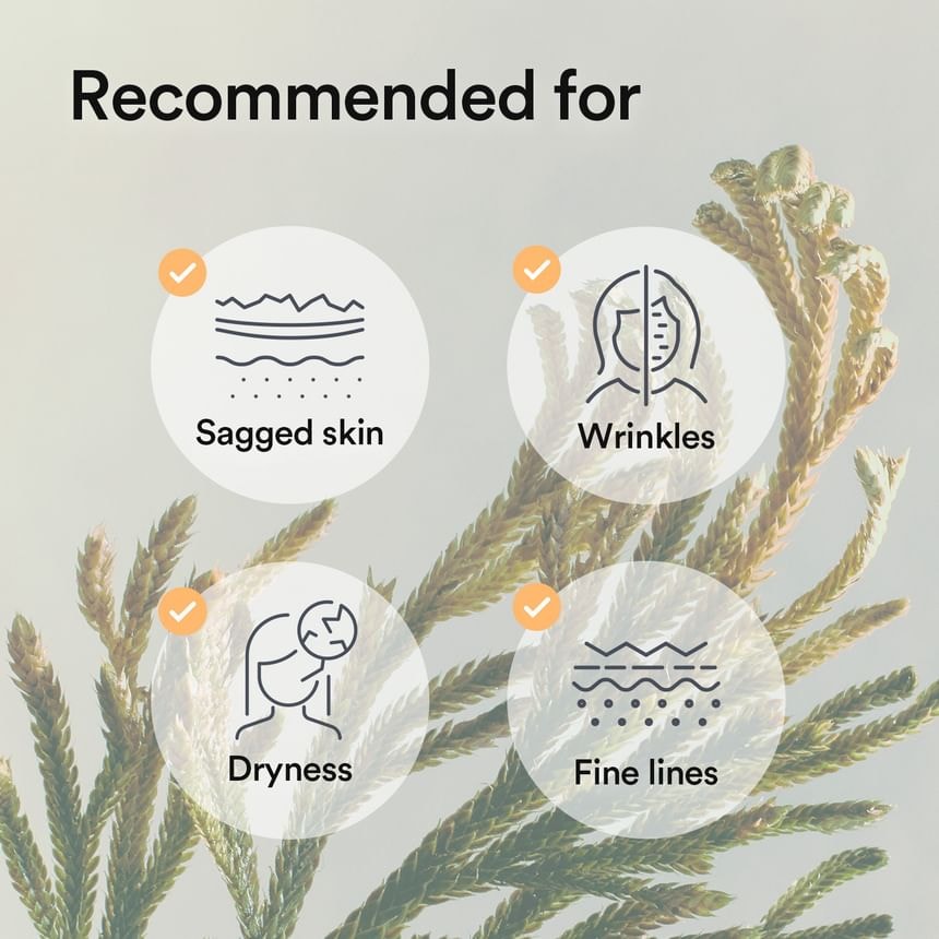 Abib - Collagen Gel Mask - 3 Types
