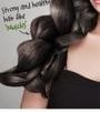Elizavecca - Cer-100 Collagen Coating Hair A+ Muscle Essence