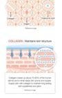 medicube - Triple Collagen Cream 4.0