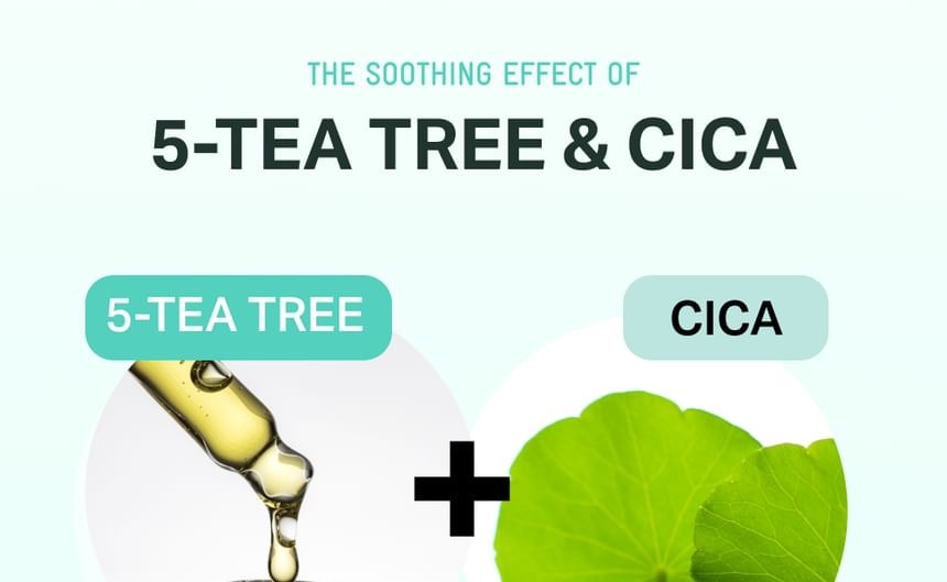 BRING GREEN - Tea Tree Cica Soothing Toner