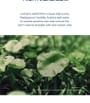 SKIN1004 - Madagascar Centella Hyalu-Cica Brightening Toner Mini