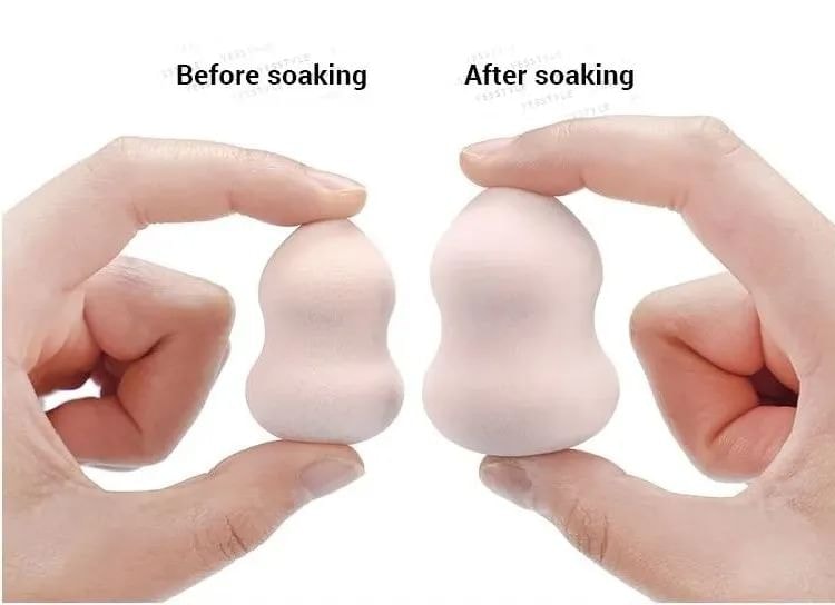 Choyu - Makeup Blender Beauty Sponge (Various Designs)