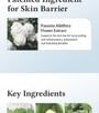 Dr. Althea - 147 Barrier Cream