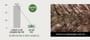 SOME BY MI - Cica Peptide Anti Hair Loss Derma Scalp Shampoo