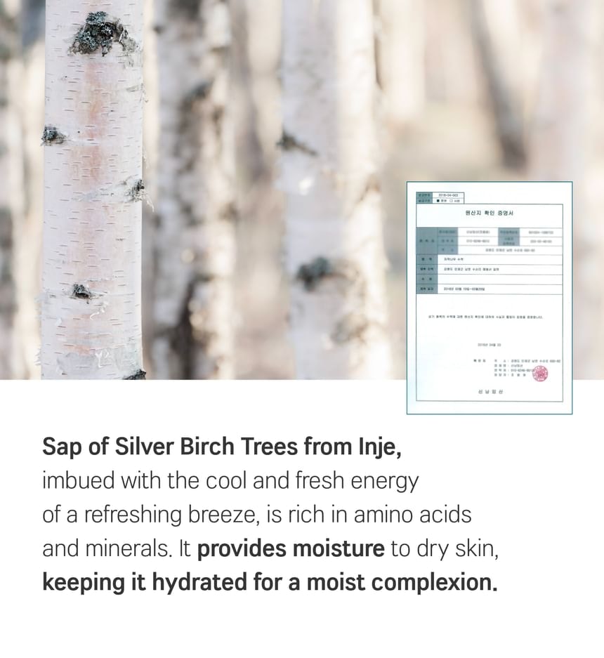 ROUND LAB - Birch Juice Hand Cream