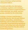 LITTLE DREAM GARDEN - Niacinamide AHA Body Lotion