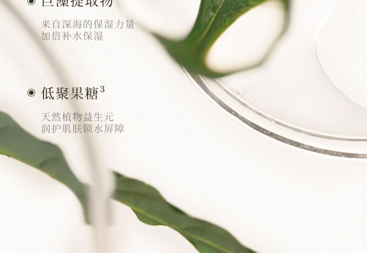 PULJIM - Tea Series Perfumed Moisturizing Hand & Nail Cream - 6 Types (Snow Falling On Gardenia - 50g)