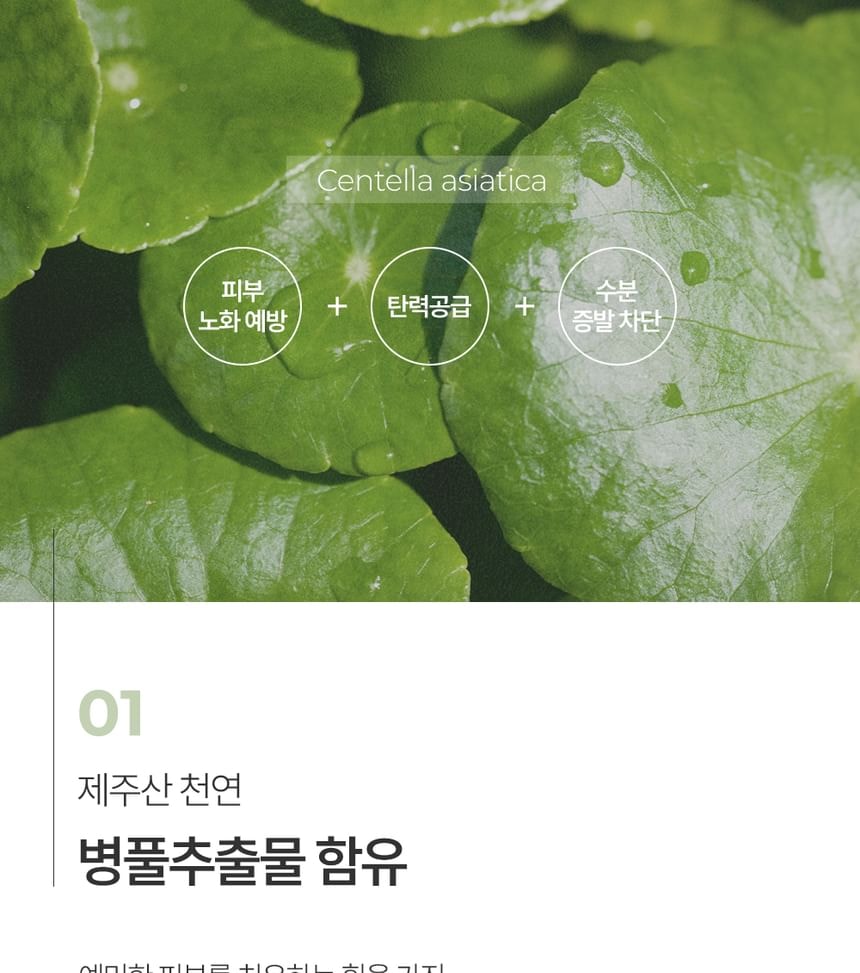 Pretty skin - The Pure Jeju Cica Waterfull Hand Cream (50ml)