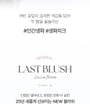 BBIA - Last Blush 2025 Version - 15 Colors
