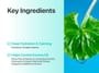 numbuzin - No.1 Pure-Full Calming Herb Toner