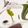 WHIPPED - Vegan Juicy Hair Keratin Perfume - 2 Types