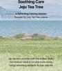 mixsoon - and by mixsoon Tea Tree AHA Retinol Body Lotion 2pcs Bundle Set