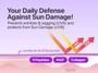 numbuzin - No.9 NAD Peptides Dewy Sun Essence 2pcs Bundle Set