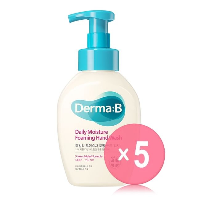 Derma: B - Daily Moisture Foaming Hand Wash 5pcs Bundle Set