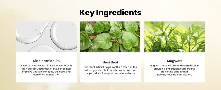 AXIS-Y - Heartleaf Skin Soothing Gel Mask (100ml)
