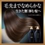 Shiseido - Tsubaki Premium EX Damage Care & Repair Shampoo 2pcs Bundle Set