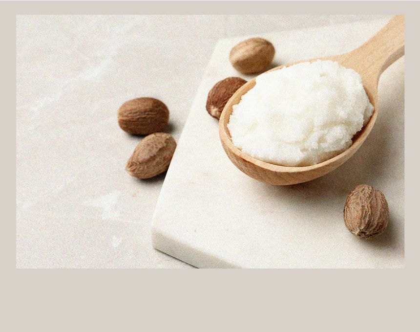 SKINFOOD - Shea Butter Hand Cream - 8 Types 10pcs Bundle Set (Musk Scent x 10 pcs)