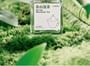 TOORUNE - Hand Blended Fabric Fragrance Spray - 10 Flavors
