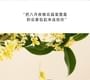 FPF - Oriental Osmanthus Eau De Parfum 2pcs Bundle Set