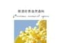 FPF - Oriental Osmanthus Eau De Parfum 2pcs Bundle Set