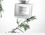 FPF - Water Desire Eau De Parfum 2pcs Bundle Set