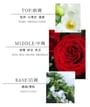 FPF - Pure Desire Ribbon - Eau De Parfum 5pcs Bundle Set