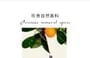 FPF - Orange Scent Eau De Parfum 2pcs Bundle Set