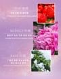 FPF - Romantic Encounter Eau De Parfum 2pcs Bundle Set