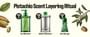 Knock, - Melt in Body Toner - 5 Types