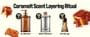 Knock, - Melt in Body Toner - 5 Types
