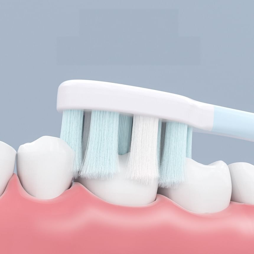 Miumi - Set Of 2: Round Toothbrush